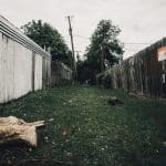 Suburban Migration Trends Post-Pandemic