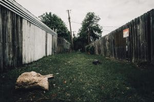 Suburban Migration Trends Post-Pandemic