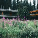 National Park Lodges With Rustic Charm