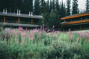National Park Lodges With Rustic Charm