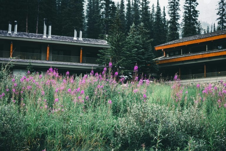 National Park Lodges With Rustic Charm