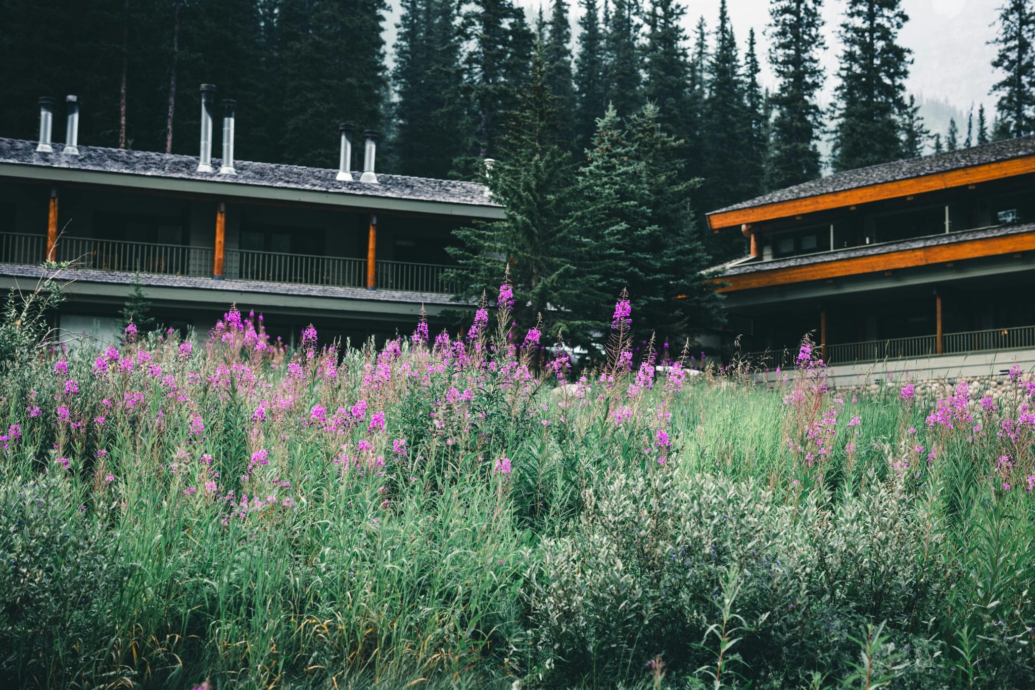 National Park Lodges With Rustic Charm