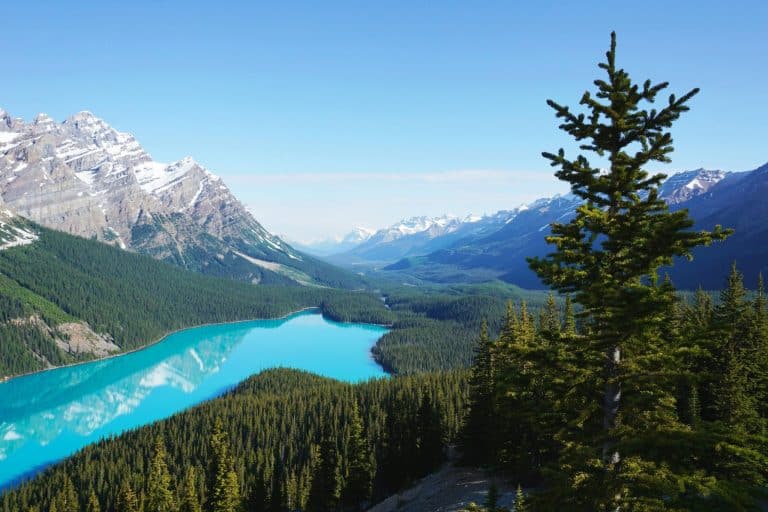 Scenic Train Rides Through Majestic Mountains