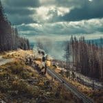 Foodie Road Trips Across Regional Cuisines