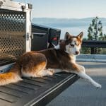 Quality Standards Finding Durable Long Lasting Items