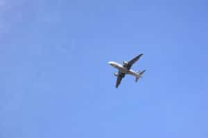 Pet-Friendly Airlines Making Travel Easier
