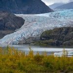 Climate Change Litigation and Environmental Accountability