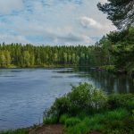 Nature Photography for Beginners