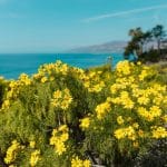 Affordable Mountain Retreats for Nature Lovers