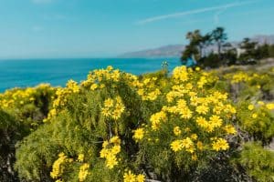 Affordable Mountain Retreats for Nature Lovers