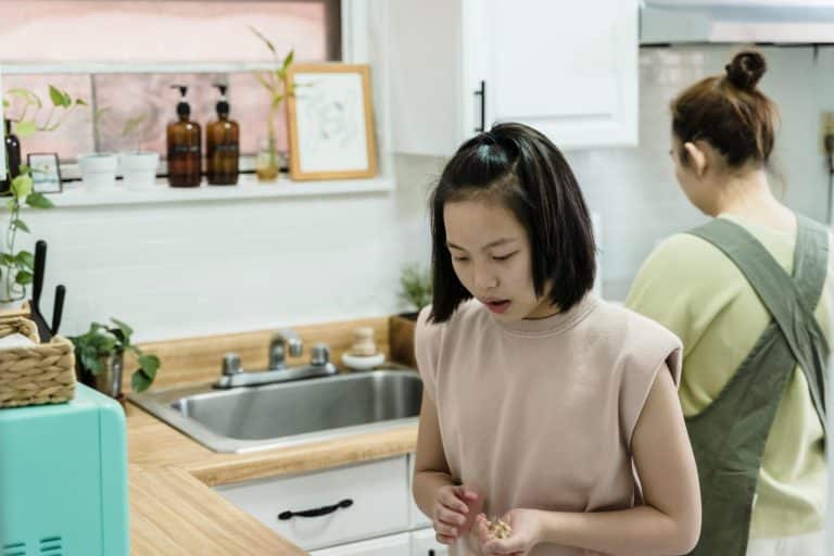 Induction Woks for Asian Cuisine at Home