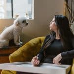 Pet Adoption Stories That Warm the Heart