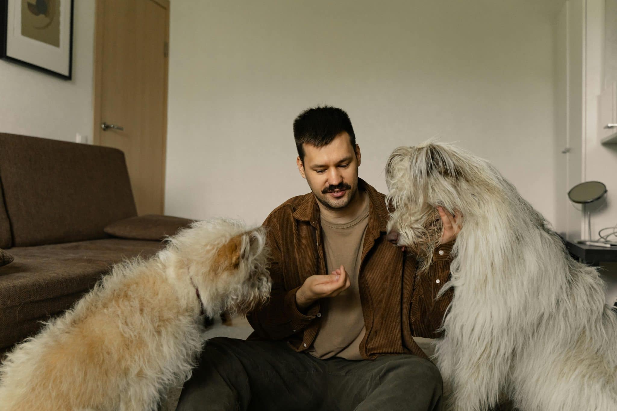 Pet Washers Catering to Animal Lovers
