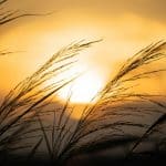 Mountain Lakes for Summer Escapes