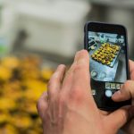 Food Photography Social Media: Building Audiences Through Culinary Content Creation