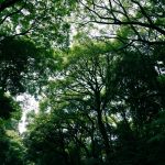 Legal Challenges in International Environmental Protection