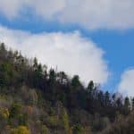 Outdoor Adventures for Nature Lovers