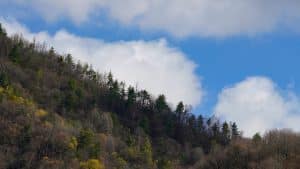 Outdoor Adventures for Nature Lovers