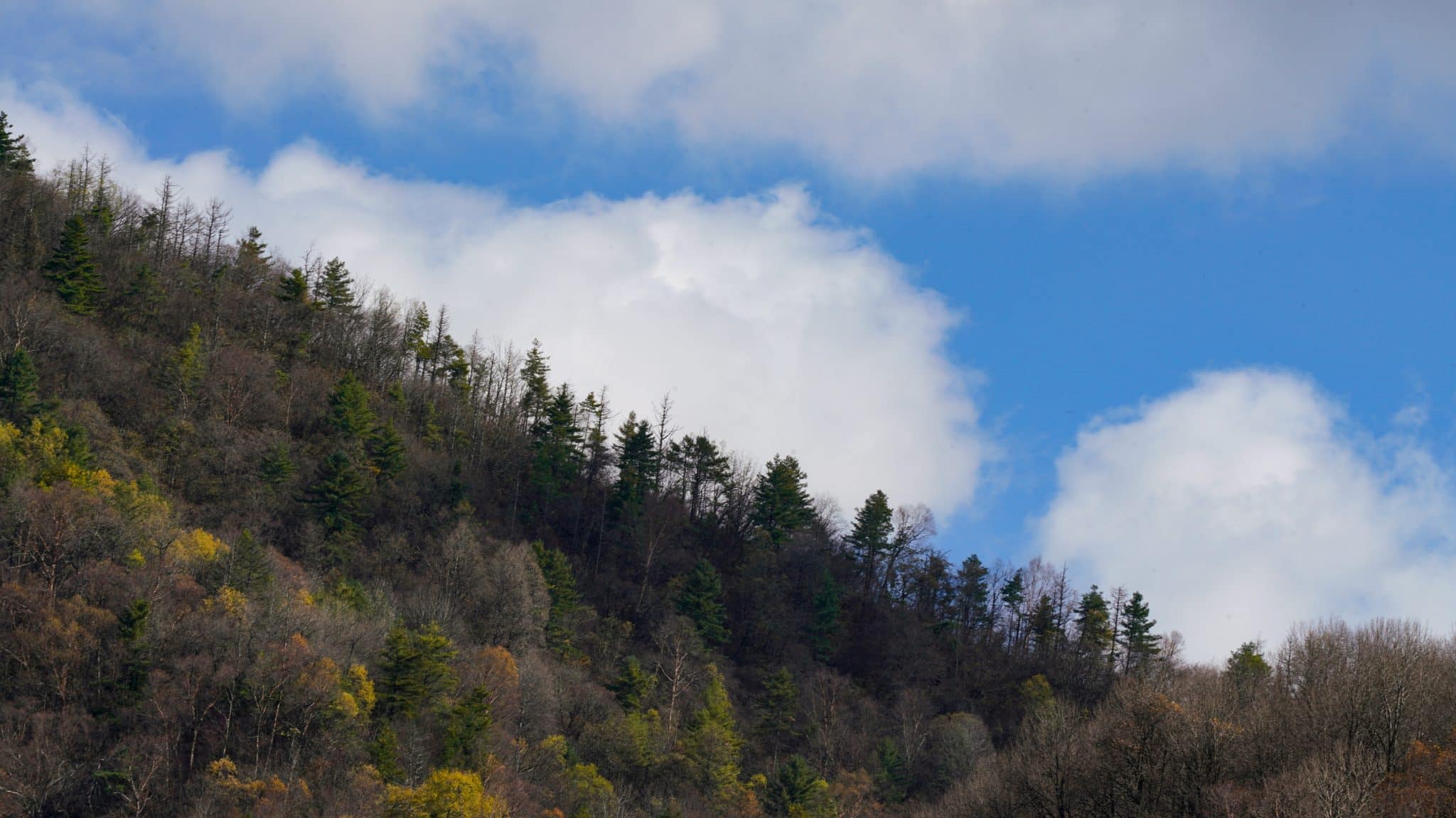 Outdoor Adventures for Nature Lovers