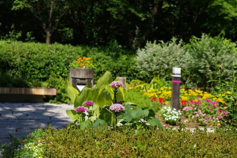 Community Gardens in Residential Developments